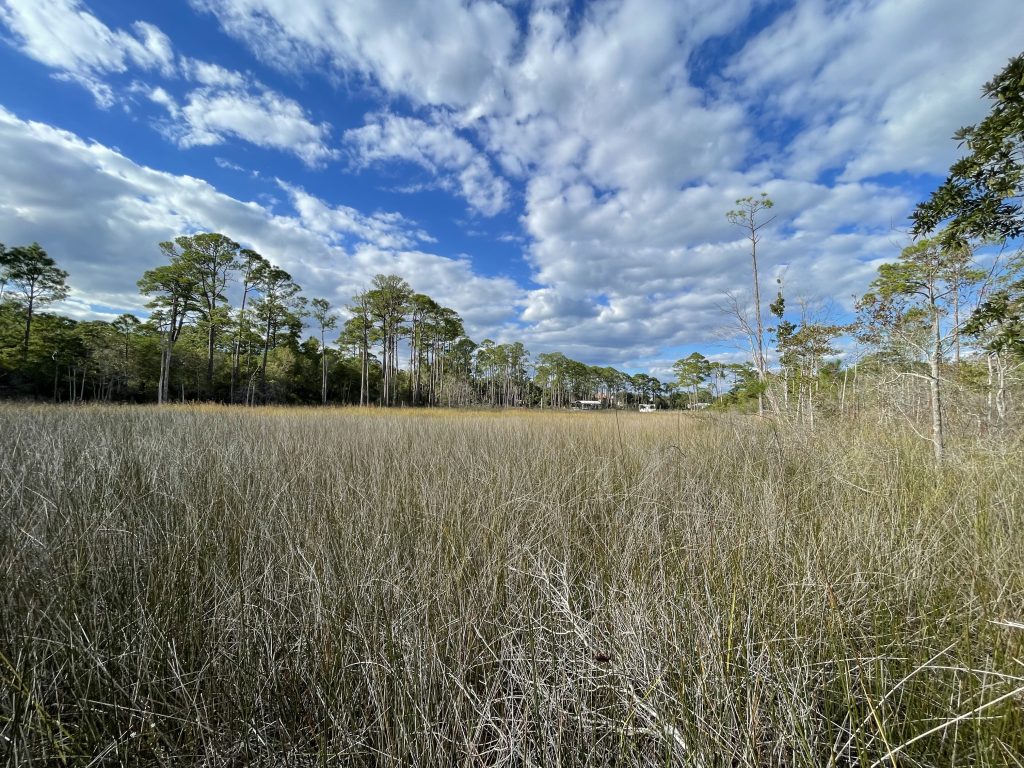 Environmental Assessment by Northern Gulf Environmental