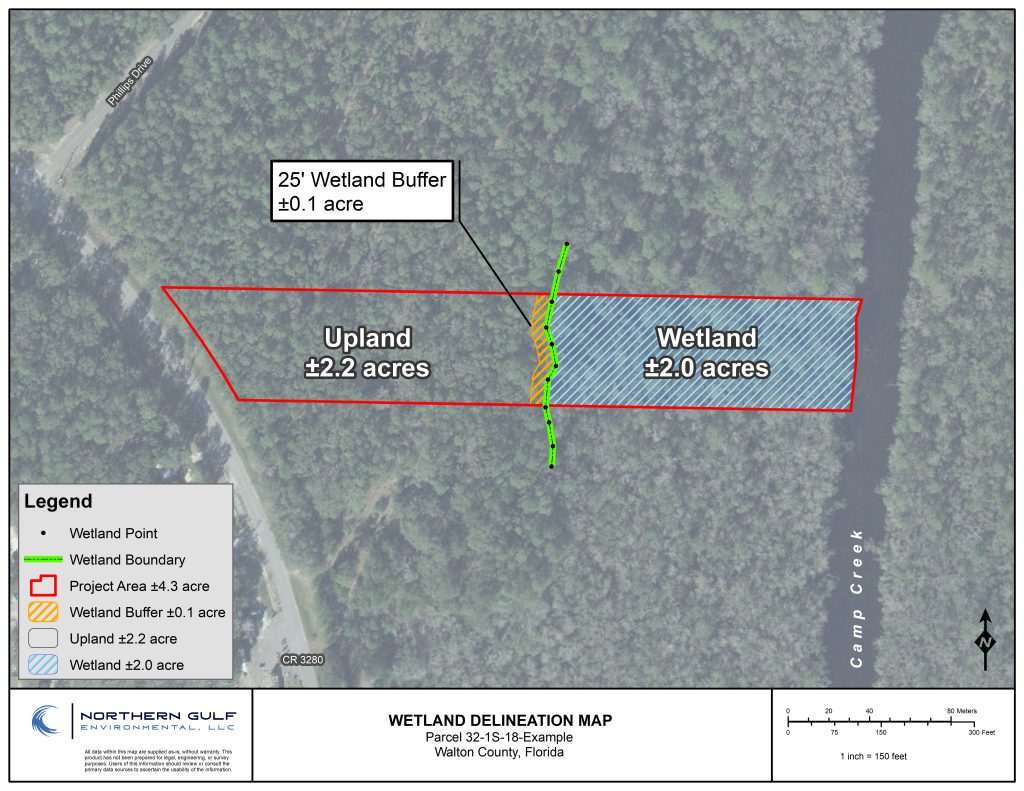 WETLAND DELINEATION EXAMPLE